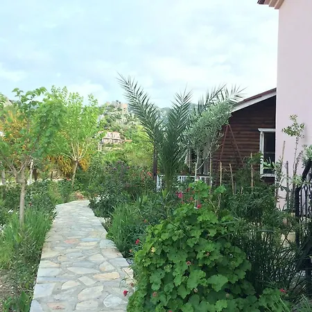 Alloggio in famiglia Asli