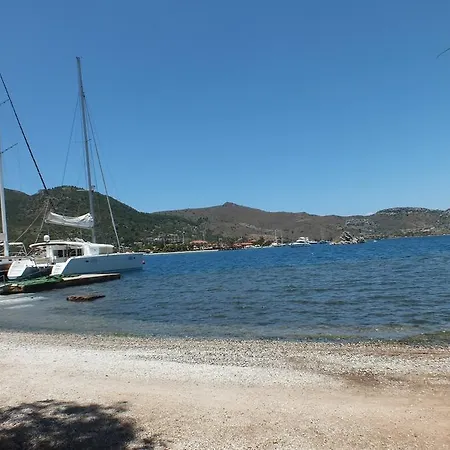 Asli Selimiye (Aegean)