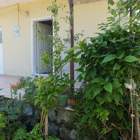 Alloggio in famiglia Asli Selimiye (Aegean)